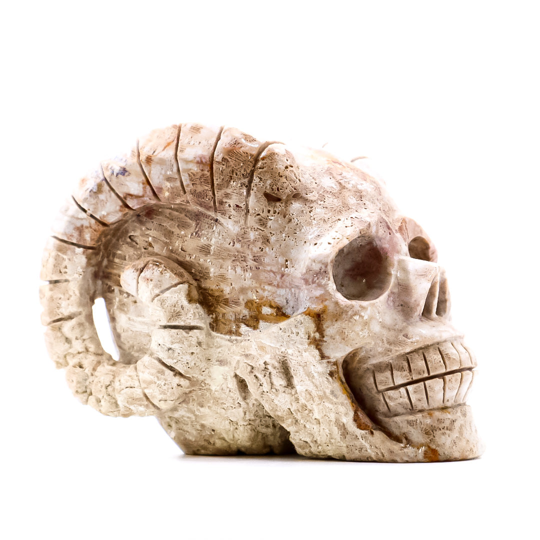Coral Jasper Horn Skull