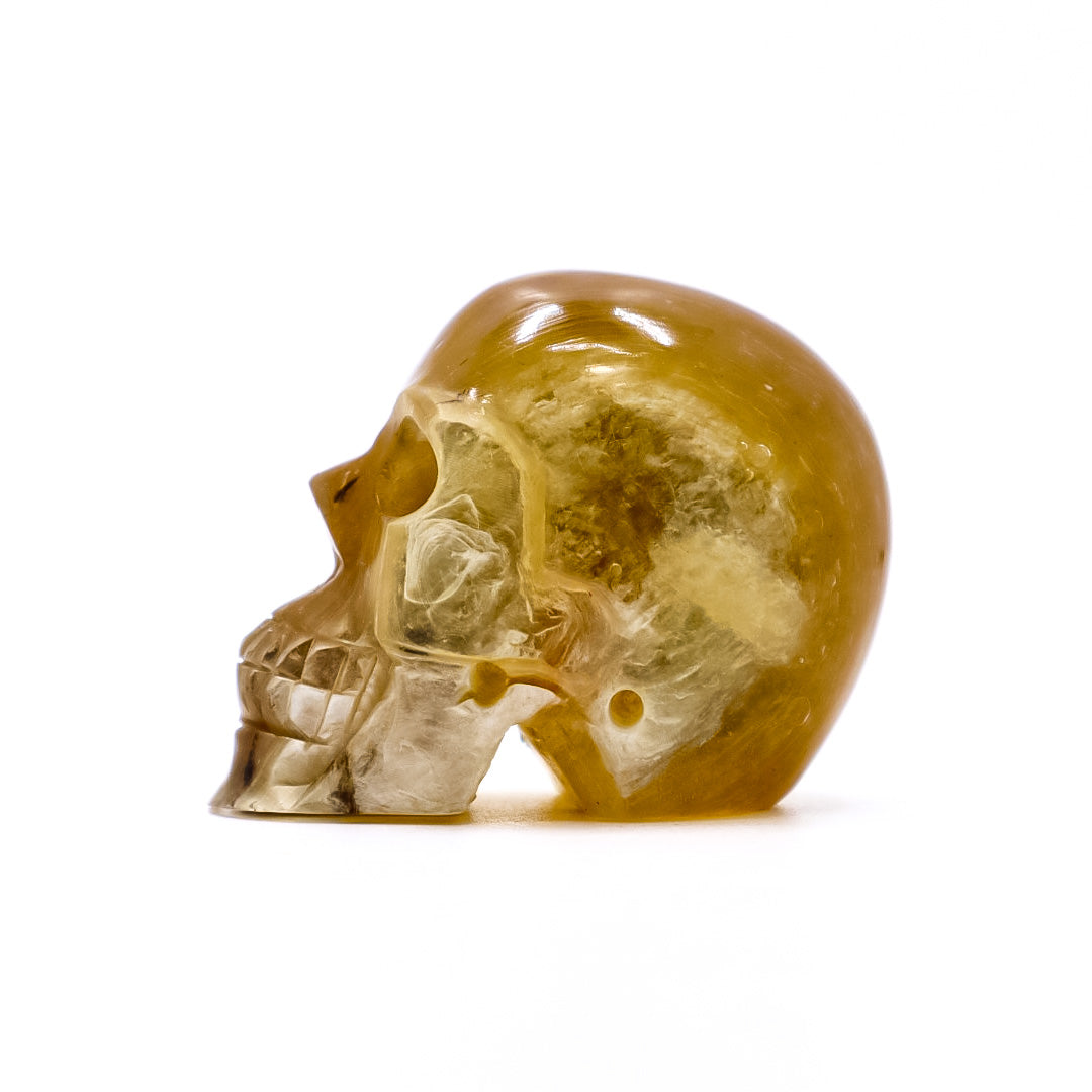 (Rare) Crystal Yellow Mica Muscovite Skull