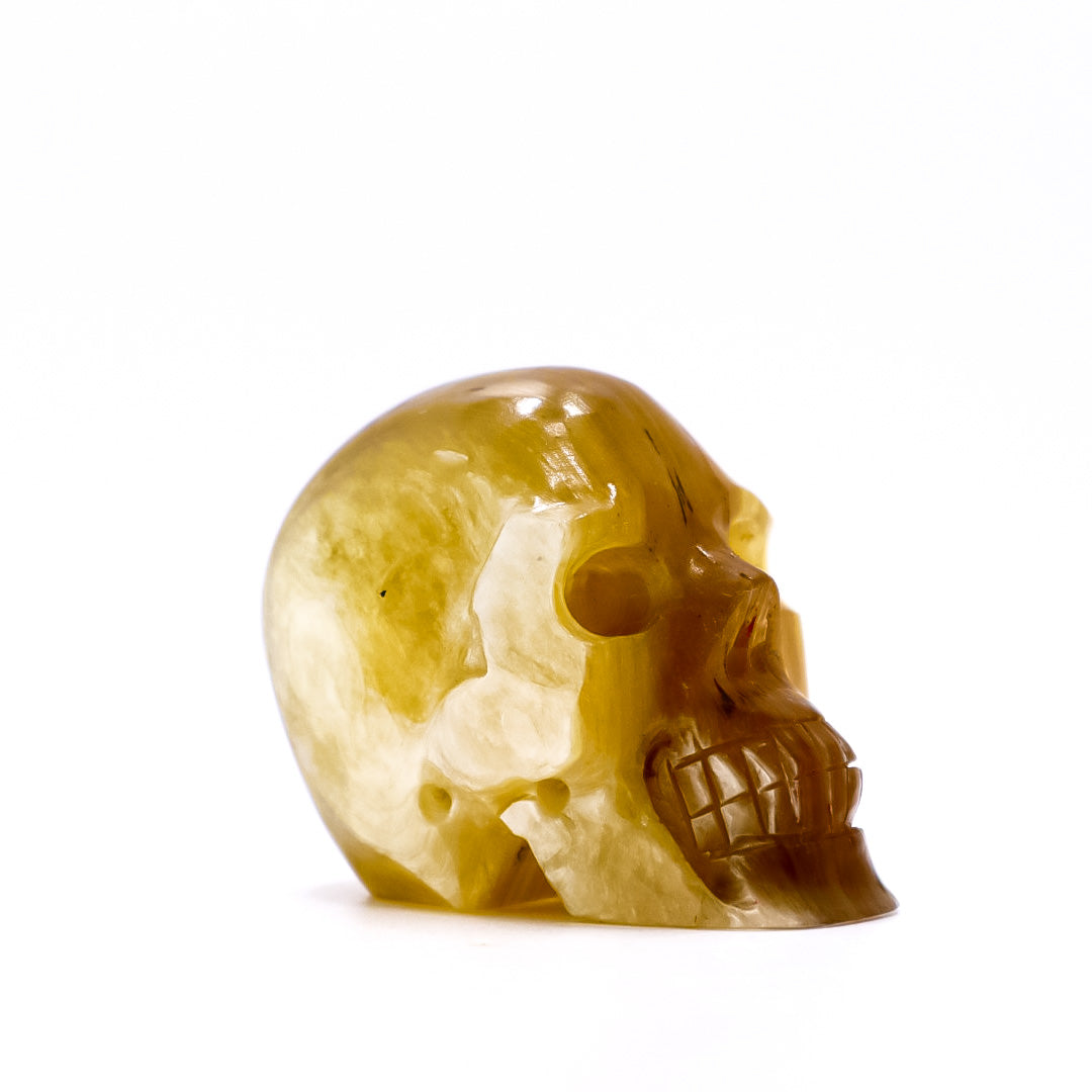 (Rare) Crystal Yellow Mica Muscovite Skull