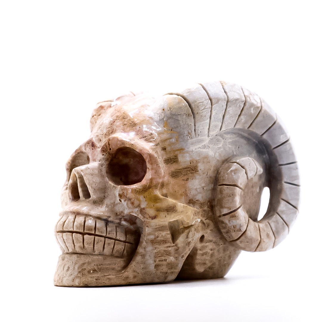 Coral Jasper Horn Skull
