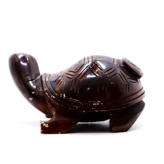 Tortoise Carvings