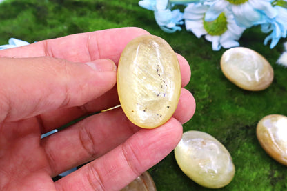 Muscovite Crystal Rare Gemmy Quality Palm Stones