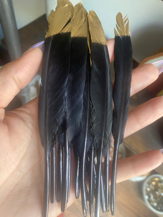 Black Gold Tip Feather - Portals and Palms