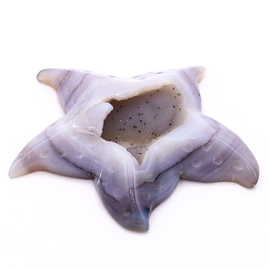 Agate Star Fish Carving